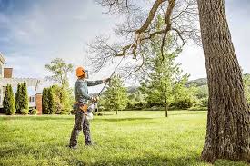 Best Pest Control for Lawns  in Kelly Ridge, CA